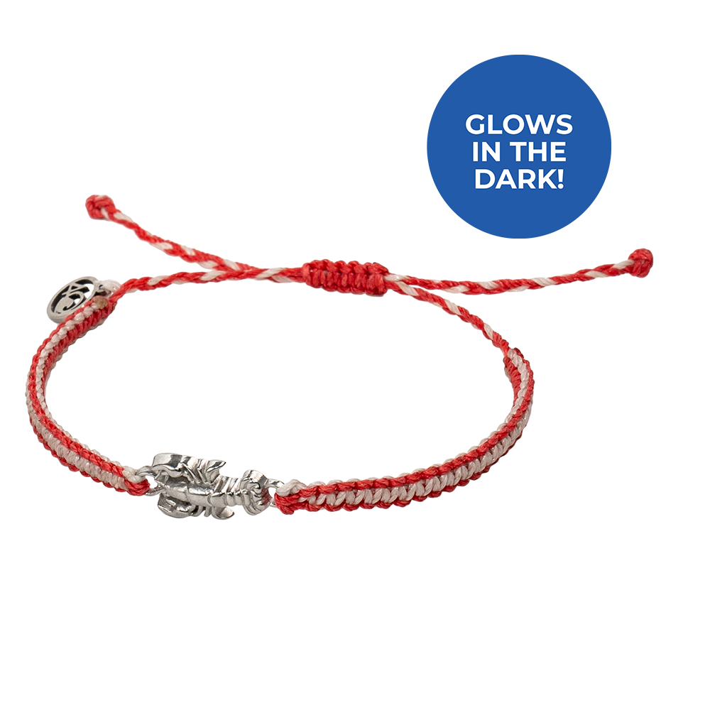 4ocean Respect the Locals Lobster Bracelet [6-pack]