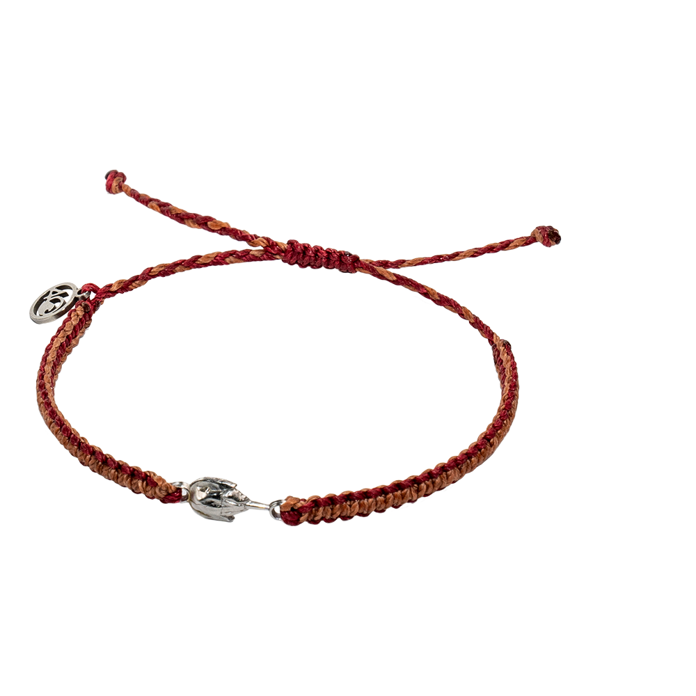 4ocean Respect the Locals Horseshoe Crab Bracelet [6-pack]