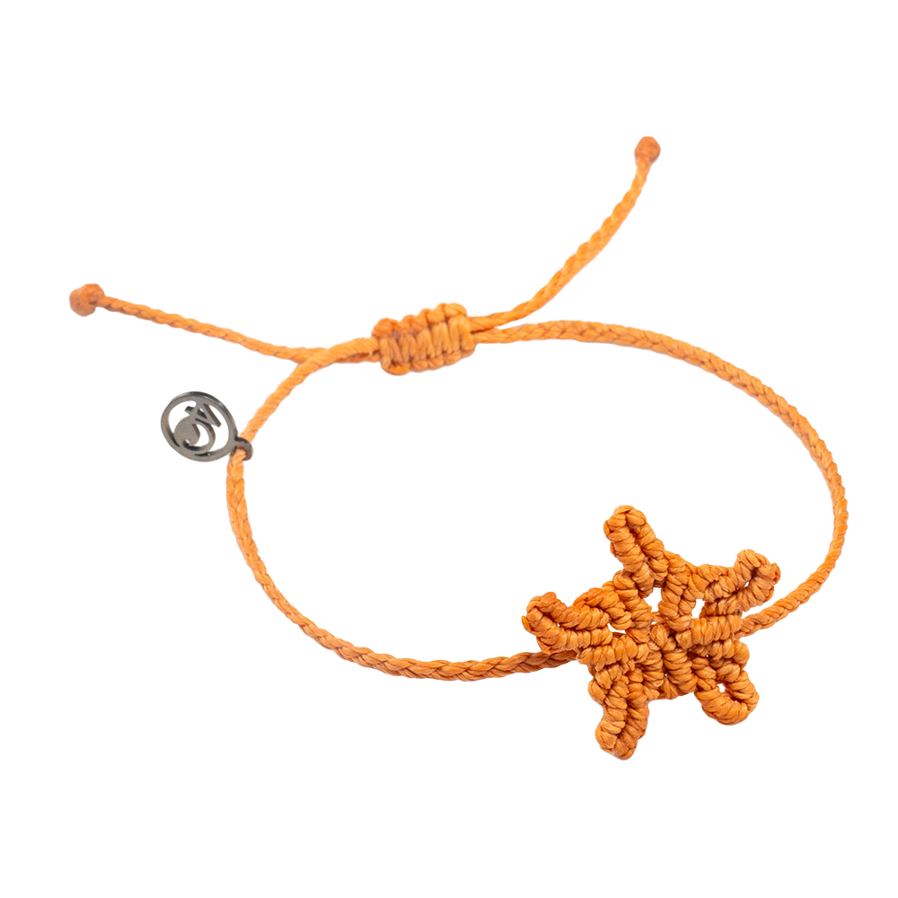 4ocean Sea Star Bracelet - Coral [6-pack]