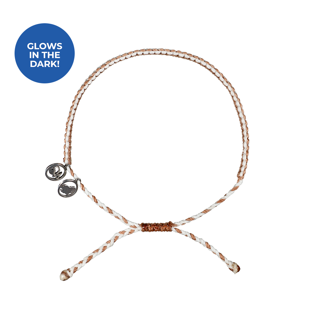 January 2024 Limited Edition - 4ocean Walrus Braided Bracelet [6-pack]